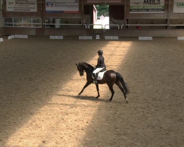 Reitturnier Delbrück-Ostenland 2019