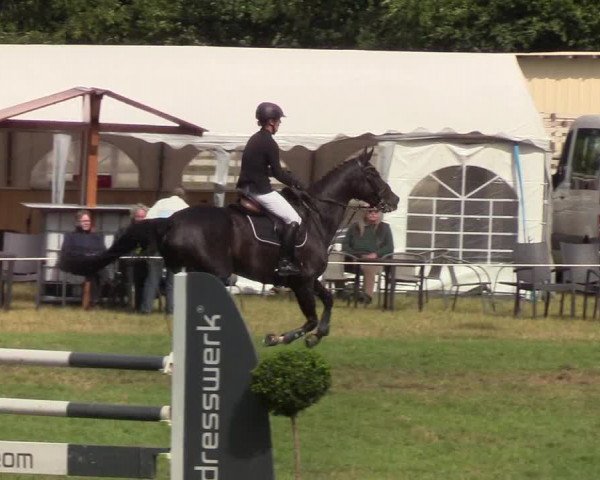 Reitturnier Hanerau-Hademarschen 2019