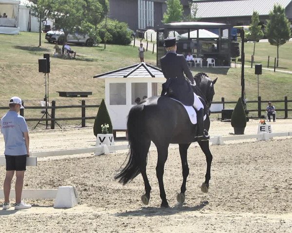 FEI Reitturnier Leudelange (LUX) 2019