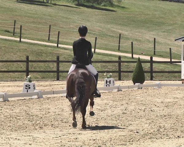 FEI Reitturnier Leudelange (LUX) 2019