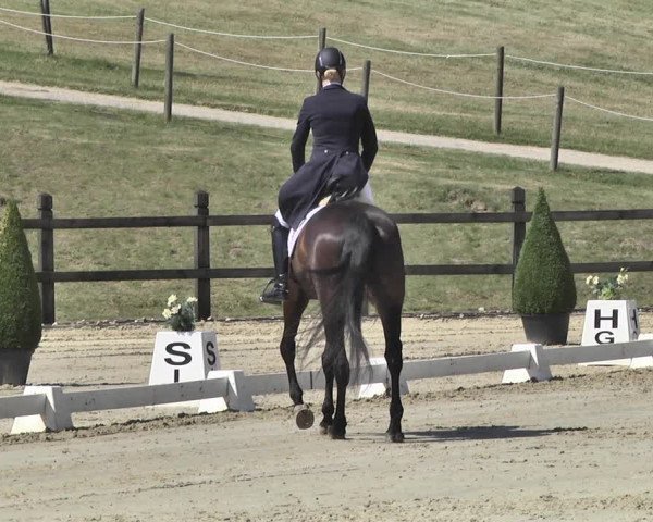 FEI Reitturnier Leudelange (LUX) 2019