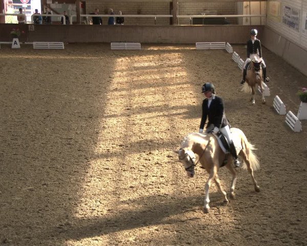 Reitturnier Delbrück-Ostenland 2019