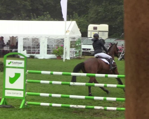 Reitturnier Hanerau-Hademarschen 2019