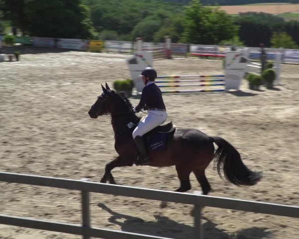 Reitturnier Kalenborn Hegehof 2019