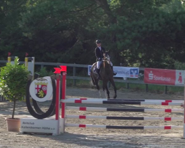 Reitturnier Kalenborn Hegehof 2019