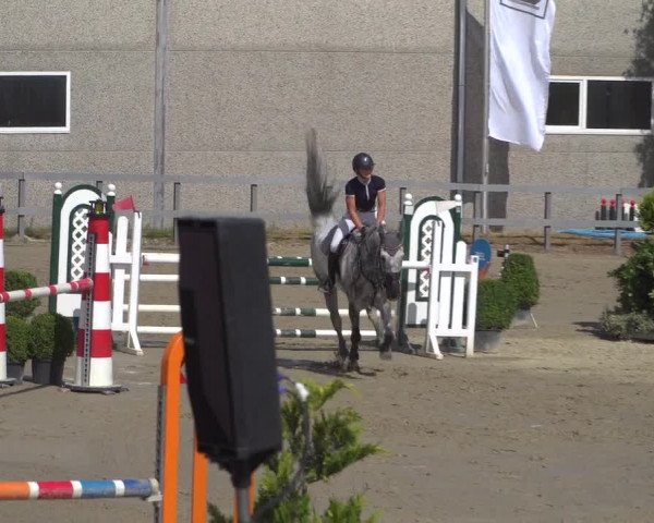 Reitturnier Kalenborn Hegehof 2019