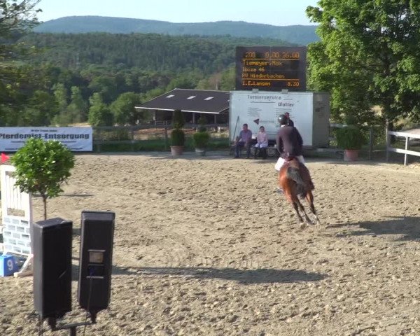 Reitturnier Kalenborn Hegehof 2019