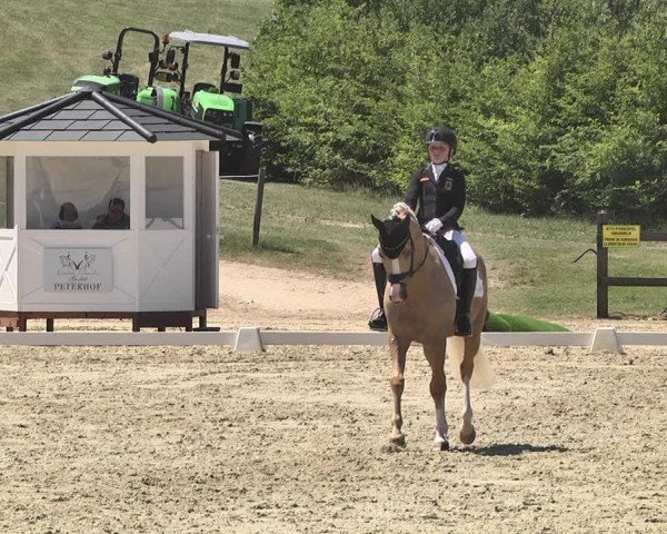FEI Reitturnier Leudelange (LUX) 2019