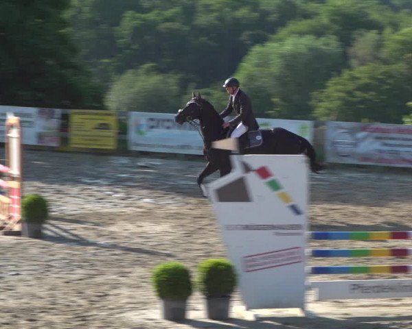 Reitturnier Kalenborn Hegehof 2019