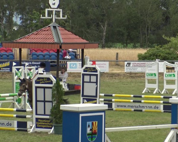 Reitturnier Delbrück-Ostenland 2019