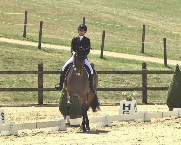 FEI Reitturnier Leudelange (LUX) 2019