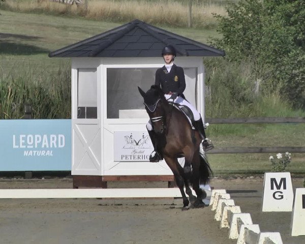 FEI Reitturnier Leudelange (LUX) 2019