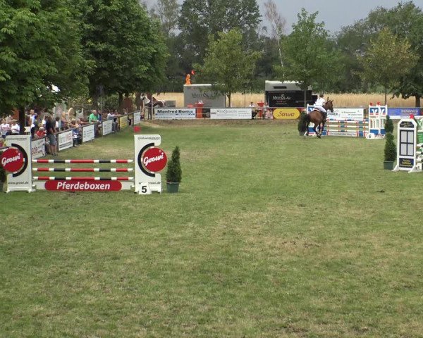 Reitturnier Delbrück-Ostenland 2019
