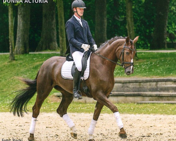 horse Donna Actoria (Rhinelander, 2012, from Don Gregory)