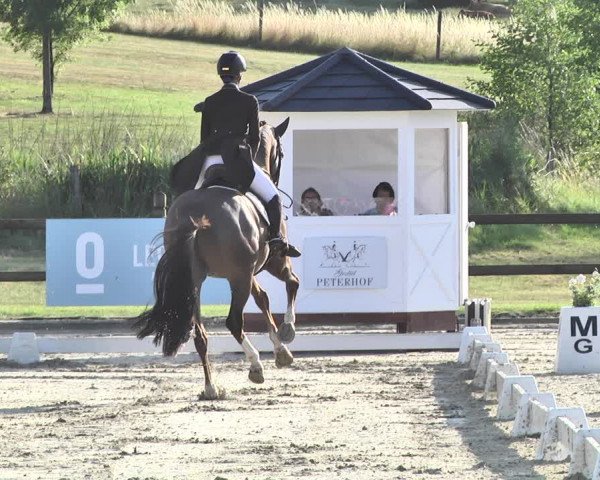 FEI Reitturnier Leudelange (LUX) 2019
