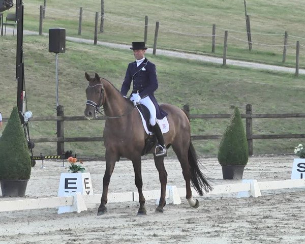 FEI Reitturnier Leudelange (LUX) 2019