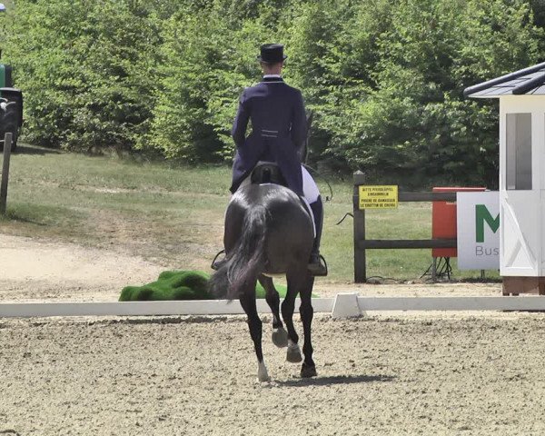 FEI Reitturnier Leudelange (LUX) 2019