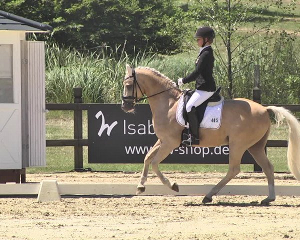 FEI Reitturnier Leudelange (LUX) 2019