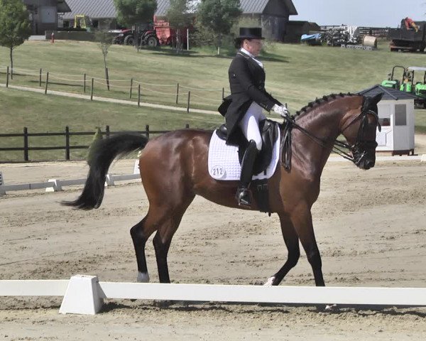 FEI Reitturnier Leudelange (LUX) 2019