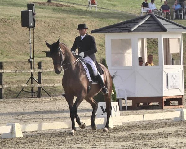 FEI Reitturnier Leudelange (LUX) 2019