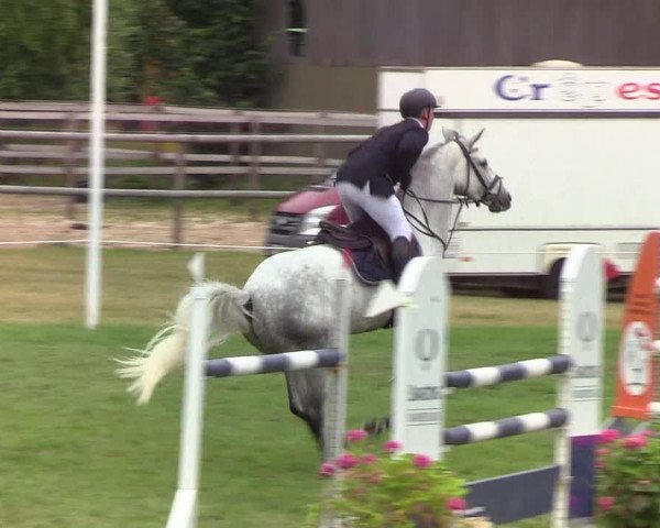 Reitturnier Hanerau-Hademarschen 2019