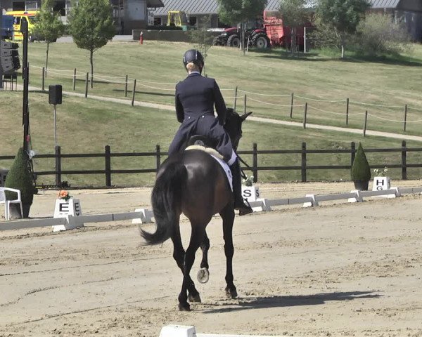 FEI Reitturnier Leudelange (LUX) 2019