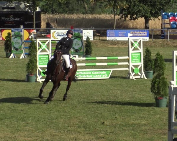 Reitturnier Delbrück-Ostenland 2019