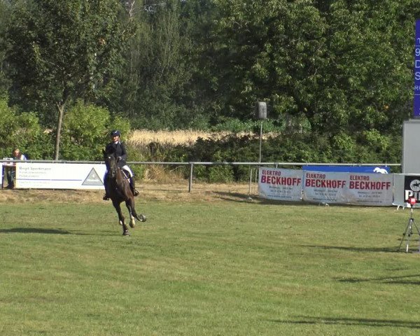 Reitturnier Delbrück-Ostenland 2019