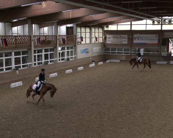 Reitturnier Delbrück-Ostenland 2019