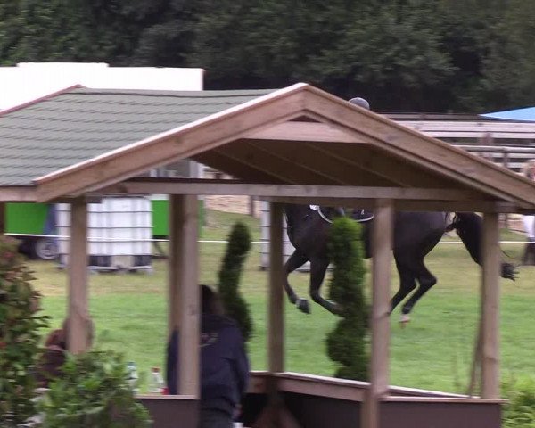Reitturnier Hanerau-Hademarschen 2019