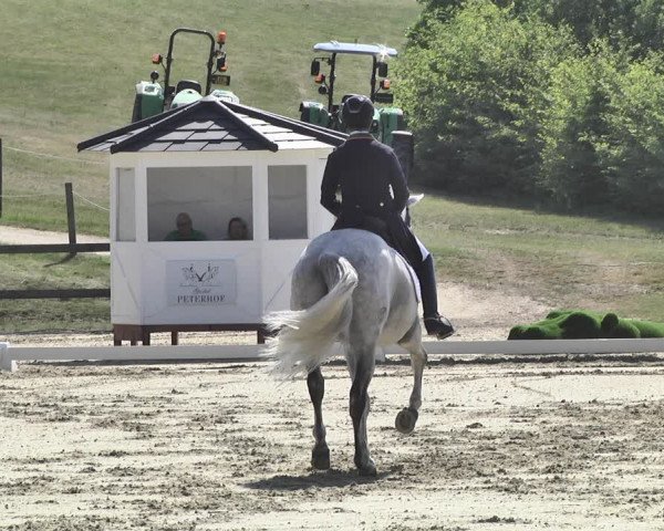 FEI Reitturnier Leudelange (LUX) 2019