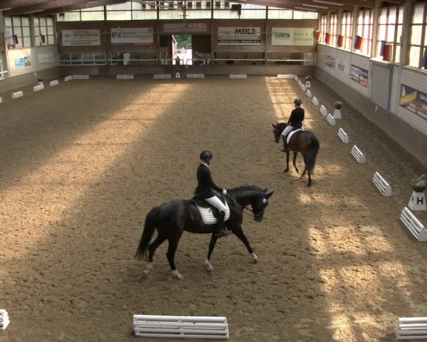 Reitturnier Delbrück-Ostenland 2019