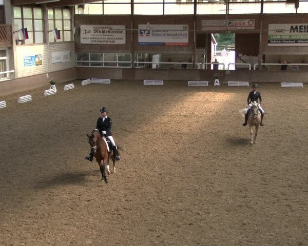 Reitturnier Delbrück-Ostenland 2019