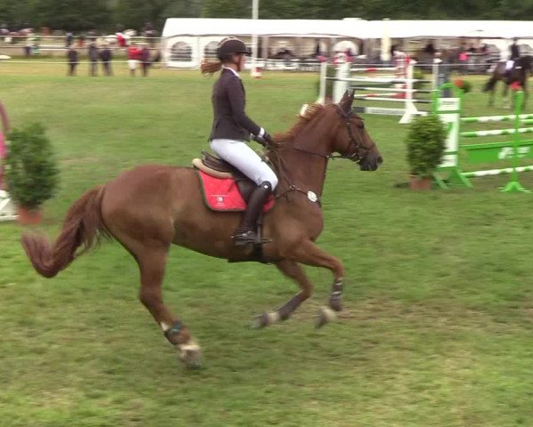 Reitturnier Hanerau-Hademarschen 2019