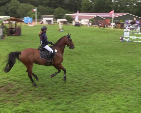 Reitturnier Hanerau-Hademarschen 2019