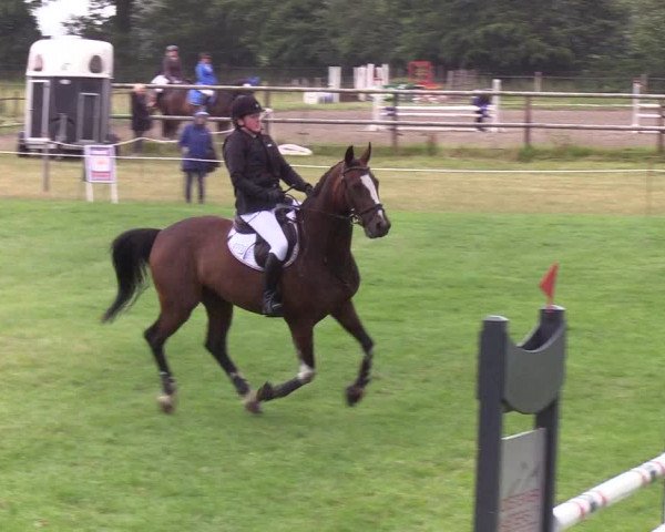 Reitturnier Hanerau-Hademarschen 2019