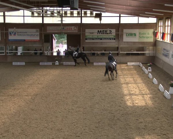 Reitturnier Delbrück-Ostenland 2019