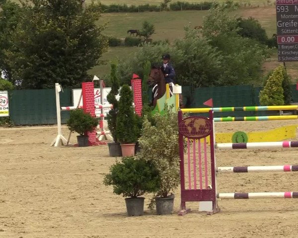 Reitturnier Lindlar-Süttenbach 2019