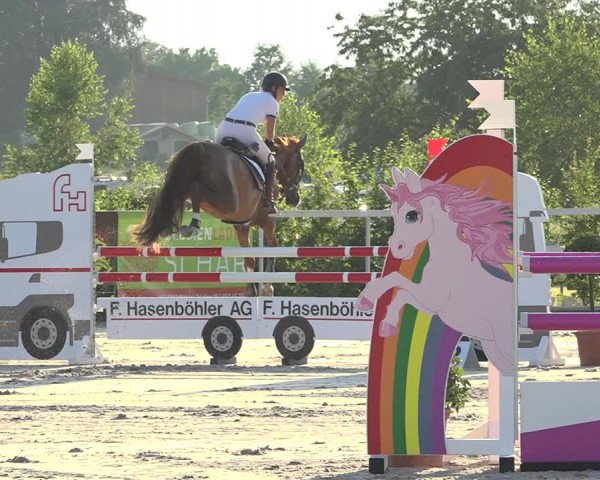 Reitturnier Möhlin 2019