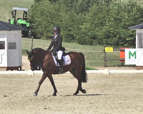 FEI Reitturnier Leudelange (LUX) 2019