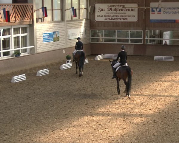 Reitturnier Delbrück-Ostenland 2019