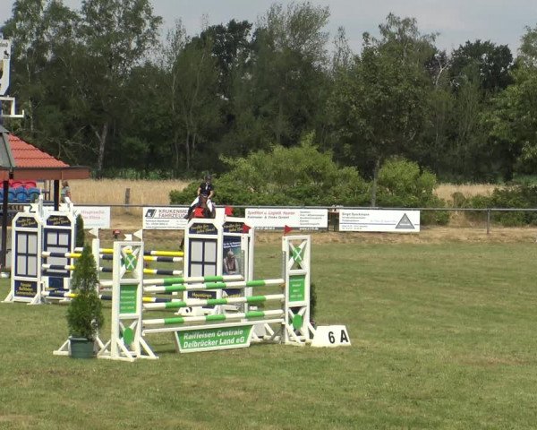 Reitturnier Delbrück-Ostenland 2019