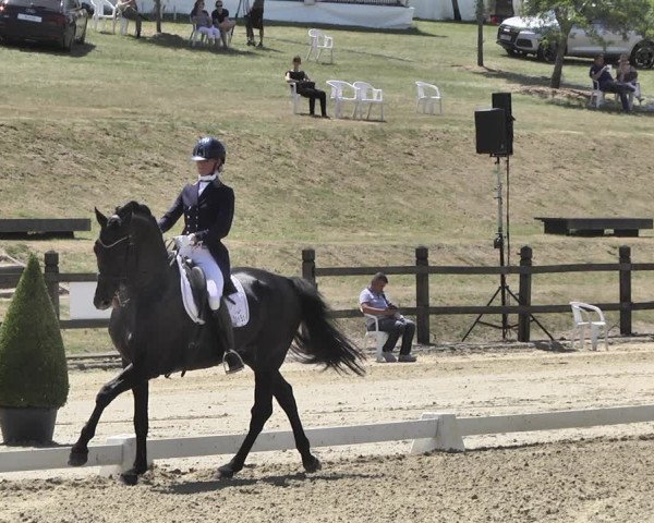 FEI Reitturnier Leudelange (LUX) 2019