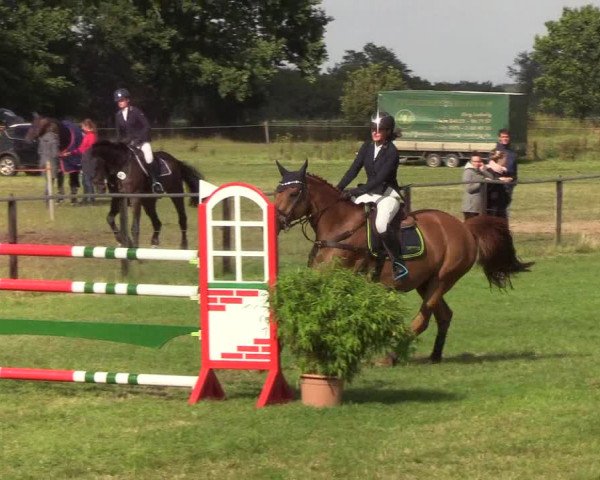 Reitturnier Hanerau-Hademarschen 2019