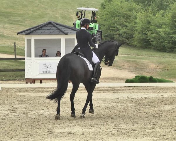 FEI Reitturnier Leudelange (LUX) 2019