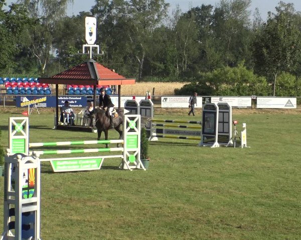 Reitturnier Delbrück-Ostenland 2019