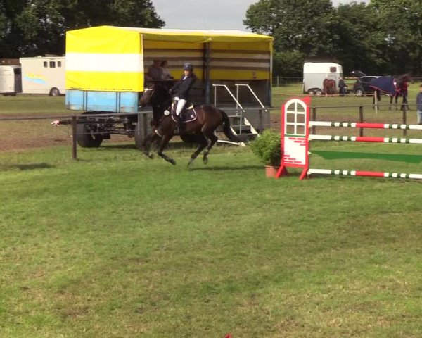 Reitturnier Hanerau-Hademarschen 2019