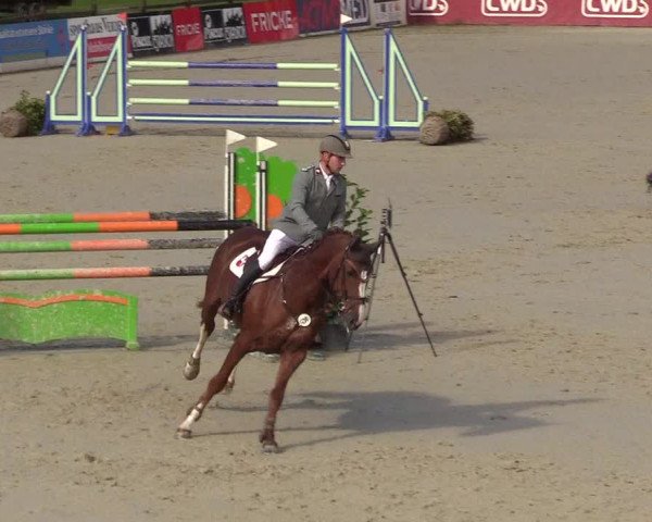 Reitturnier Westergellersen 2021
