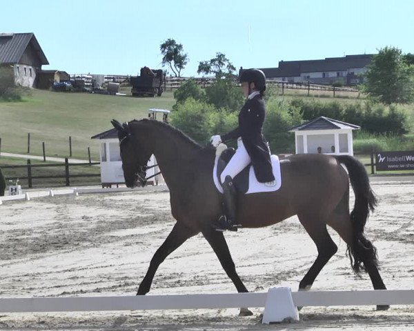 FEI Reitturnier Leudelange (LUX) 2019