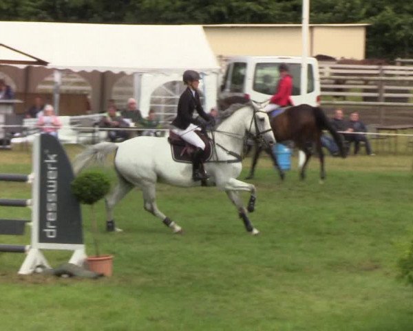 Reitturnier Hanerau-Hademarschen 2019
